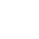 S1