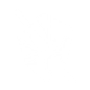 S1