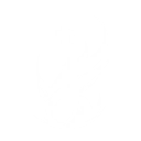 S2