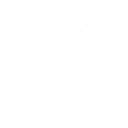 S5