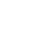 S6