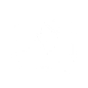 S1