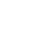 S1
