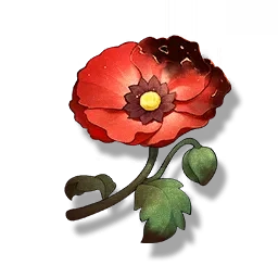 Belle Poppy