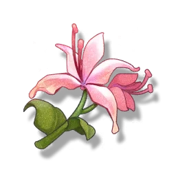 Pecok Flower