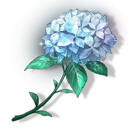 Summer Flower