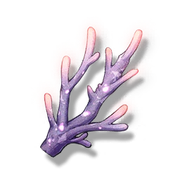 Violet Coral