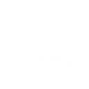 Intro