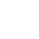 Intro