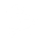 Intro