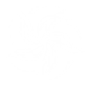 Intro
