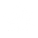 Intro