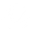 Intro
