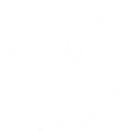 Intro