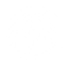 Forte