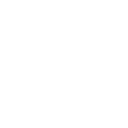 Intro
