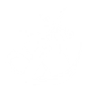 Intro