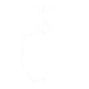 Intro