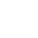 Intro