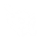 Intro