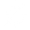 Furled Canopy: Flash Rift — Suoming's intro skill icon in Wuthering Waves