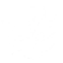 Nexus Alight — Hsin's resonance liberation icon in Wuthering Waves