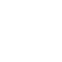 Intro